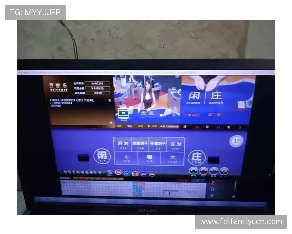 利用百家乐录单进行数据分析,优化你的游戏策略提升盈利空间 利用百家乐录单进行数据分析,优化你的游戏策略提升盈利空间