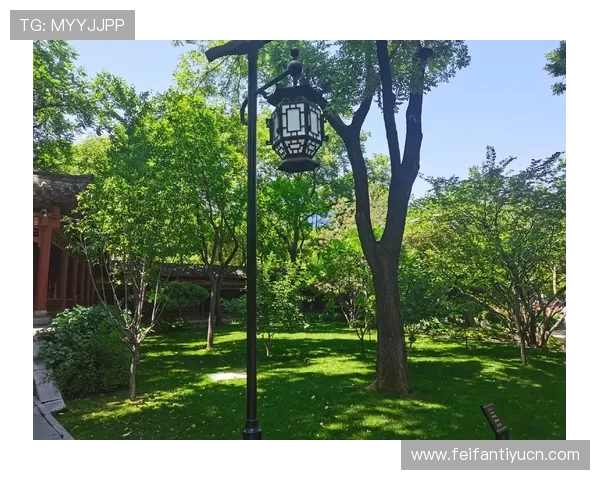 逍遥坊娱乐：打造舒适宜人的娱乐环境让你尽情享受时光